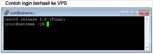 Login VPS